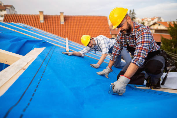 Quick and Trustworthy Emergency Roof Repair Services in Ankeny, IA